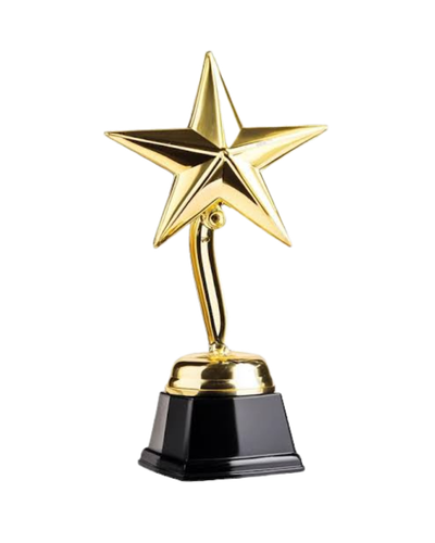 Gold star achievement trophy by Trophy Xpert